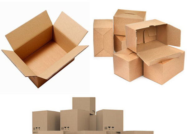 CNC Oscillating cutting machine