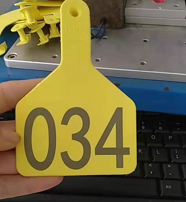 Laser Marking Machines